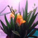 형제농장1호 이미지