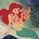 레드아쿠아 이미지