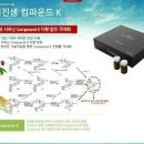 진생닥터 이미지