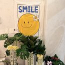 라성로 | [내돈내산후기] 안산 디저트 스콘 맛집 스코니코니 + 주토피아2 관람