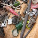 해당화어린이공원 이미지