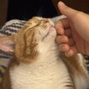 스튜디오 : 피프티 스튜디오 계약 후기 (+프헤, 힙쉬)