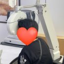 1001안경, 위드렌즈 이미지