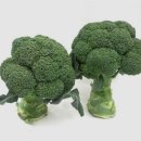 원종헬스 이미지