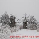 환상의 추억 이미지