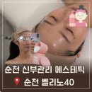 벨리노에스테틱
