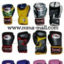 트윈스 MMA 이미지