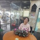 수성동평생학습센터 | 롱앤로우센터피스