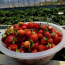 강의경로식당 이미지