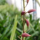 사철농장 이미지