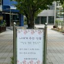 서울성원초등학교 이미지