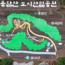금왕식당