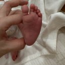 창원 라움산후조리원 후기 (디럭스룸)