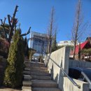 청주가로수길 | 청주 외곽카페 파스타 맛집 더멜 대형카페 다녀온 후기