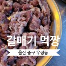 갈매기먹짱 이미지