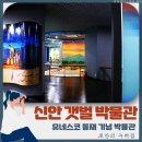 신안갯벌박물관 | 증도에 위치한 신안 갯벌 박물관 방문한 솔직한 후기와 생각