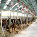 청송축산 이미지