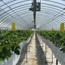 무주농업협동조합 이미지