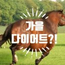 다함께 점핑점핑 이미지