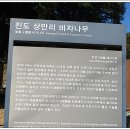 진도상만리오층석탑 이미지