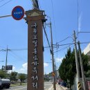 동백꽃필무렵 | [일본인 가옥거리] 포항 구룡포 동백꽃 필 무렵, 까멜리아 방문 후기