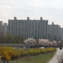 가락타운상가시장 이미지