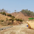 이춘원선생묘역 및 신도비 이미지