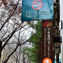 올레길 도심형 1코스 이미지