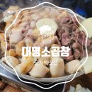 능마루맛의거리 이미지
