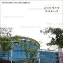 울산원예농업협동조합 하나로마트 이미지