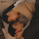 더쿱디스트리뷰션 이미지