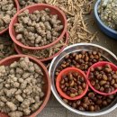 남창5일시장 이미지