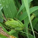 수원-1125 이미지