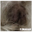 봄앤동물병원 이미지