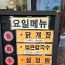 원미동 2-5 건물 옆 이면도로 | 강남교자 뚝섬역점 점심 후기 (뚝섬역 칼국수, 매일 할인 메뉴가 변경)