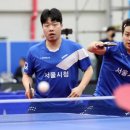 인제다목적체육관 다목적경기장 이미지