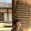 거북이약방