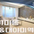 군포대야초교 이미지