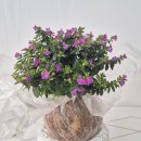 윤희공방 이미지