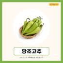 한국농약사 이미지