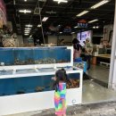 오션 브릿지 펜션 이미지