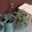 경성목공구락부 이미지