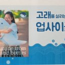 포미홈패션