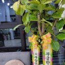 무궁건축사사무소 이미지