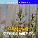 로즈메리