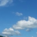 베리민박 이미지