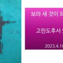 2023.4.16 보라 새것이 되었도다 (고후5장17절) 이미지