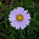 광일농장 이미지