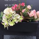 살랑살롱 이미지