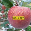 강나루농원